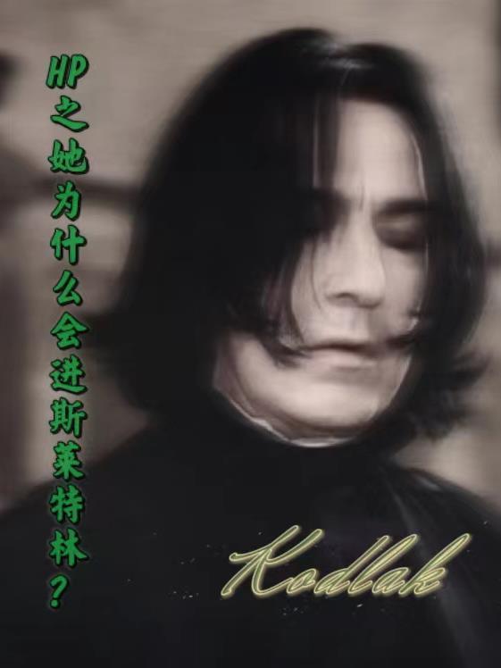 hp她是斯莱特林的珍宝
