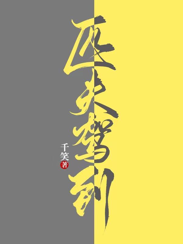 匹夫驾到TXT全本